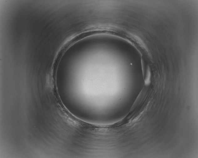 X0000074291172200608251336