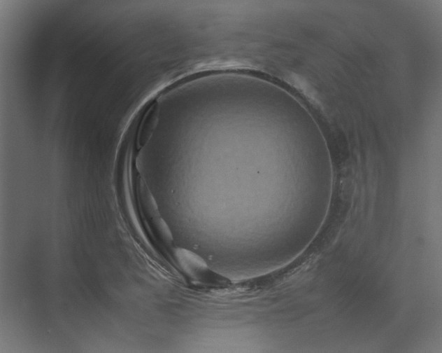 X0000074291173200608251336