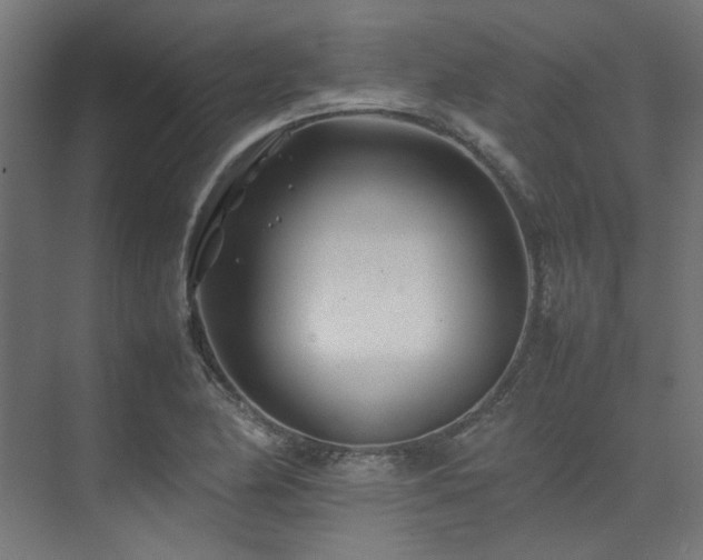 X0000074291174200608251336