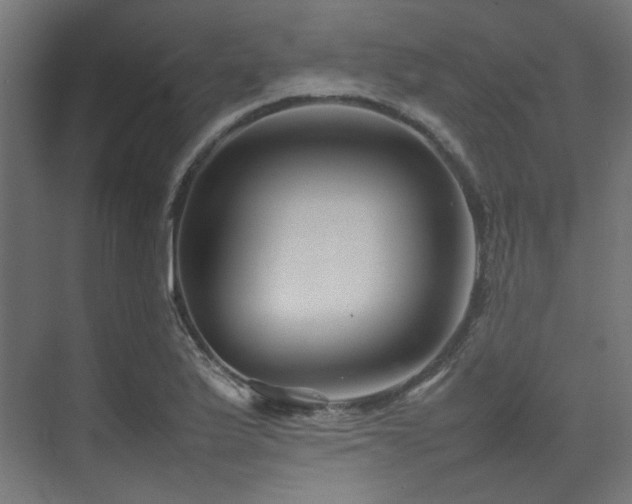 X0000074291175200608251336