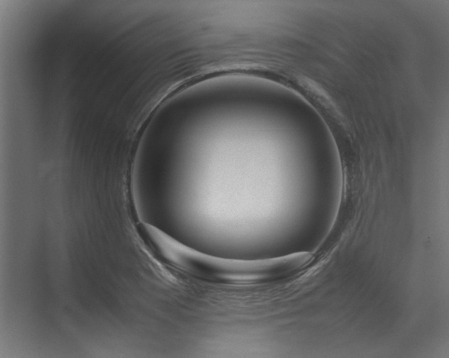 X0000074291177200608251336