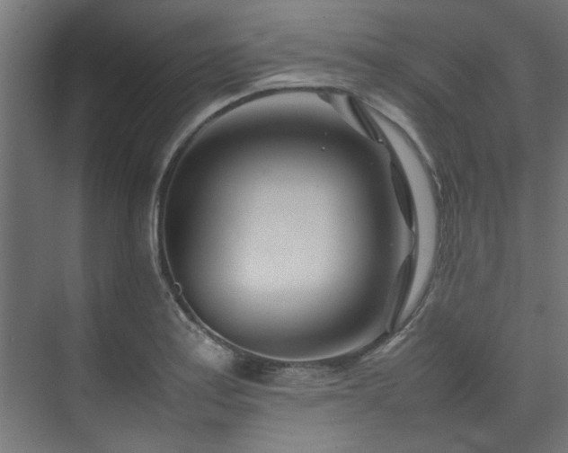 X0000074291179200608251336