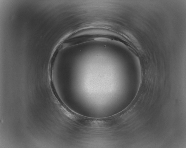 X0000074291180200608251336