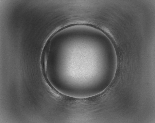 X0000074291181200608251336