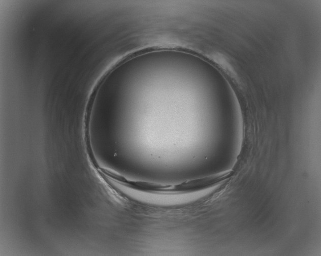 X0000074291183200608251336