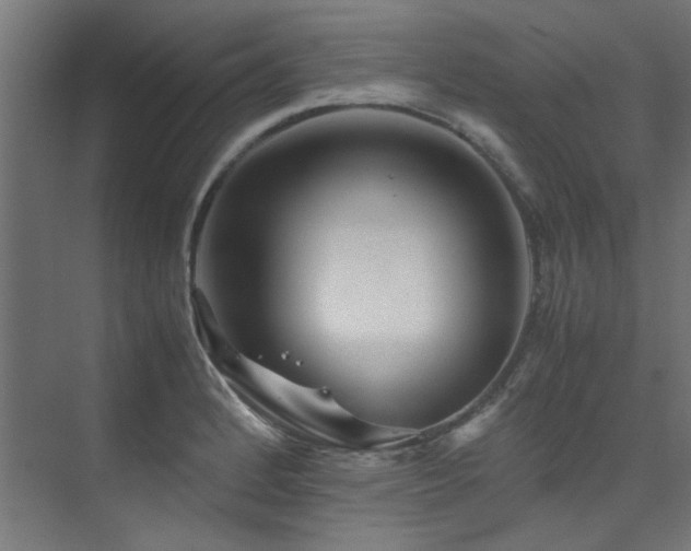 X0000074291184200608251336