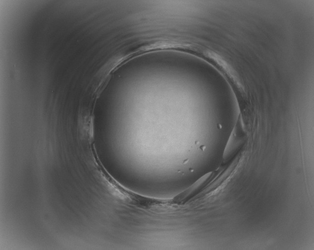 X0000074291185200608251336