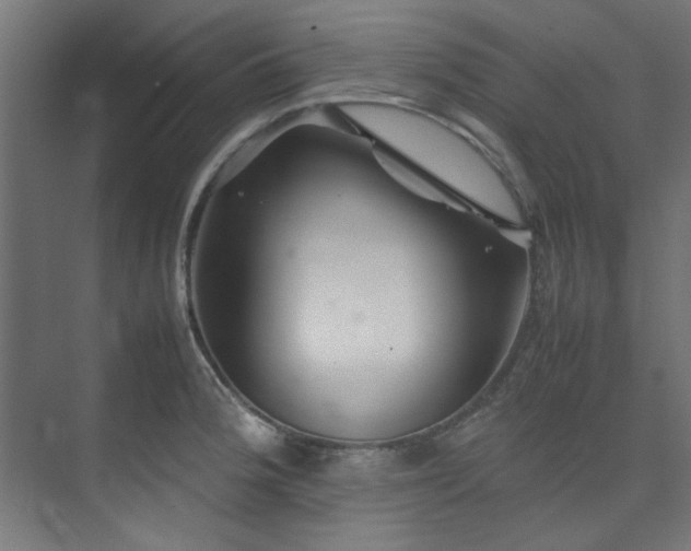 X0000074291188200608251336