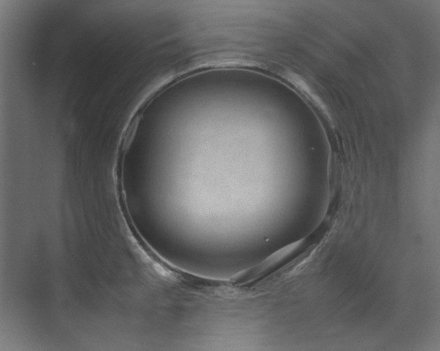 X0000074291189200608251336