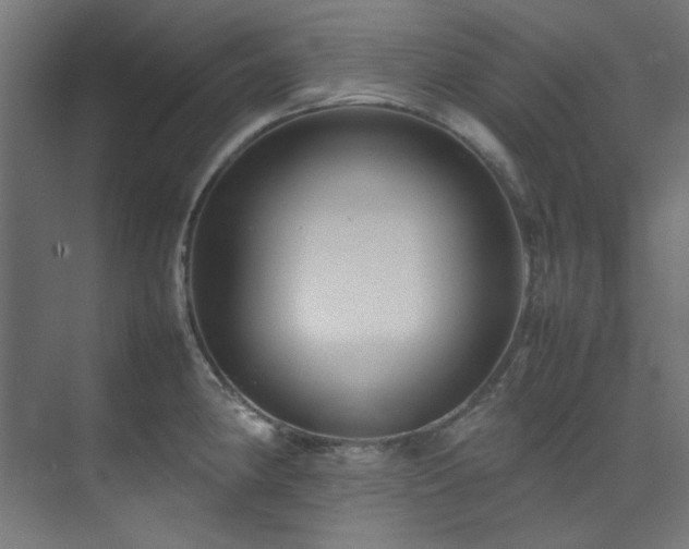 X0000074291190200608251336