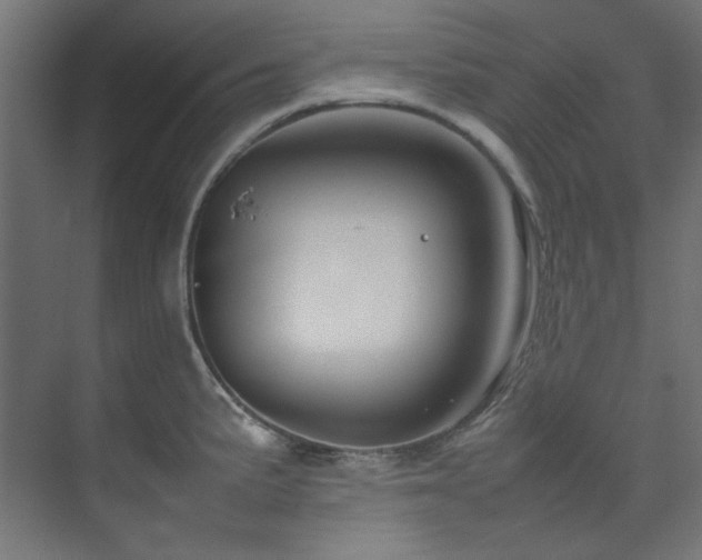 X0000074291191200608251336