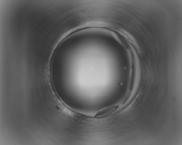 X0000074291192200608251336