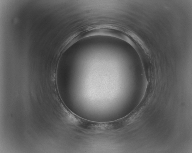 X0000074291193200608251336