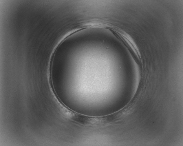 X0000074291195200608251336