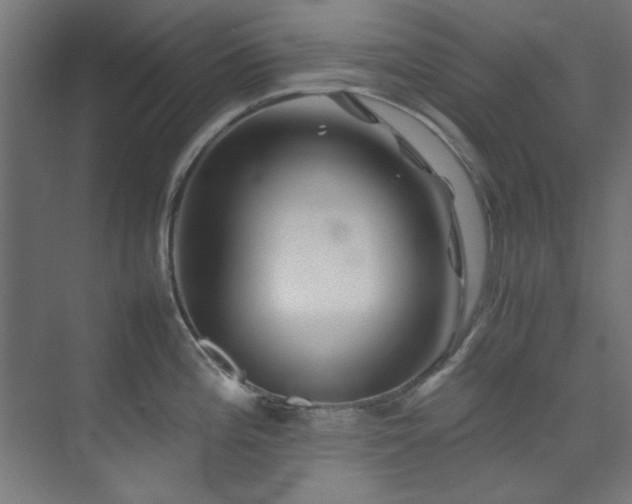 X0000074291196200608251336