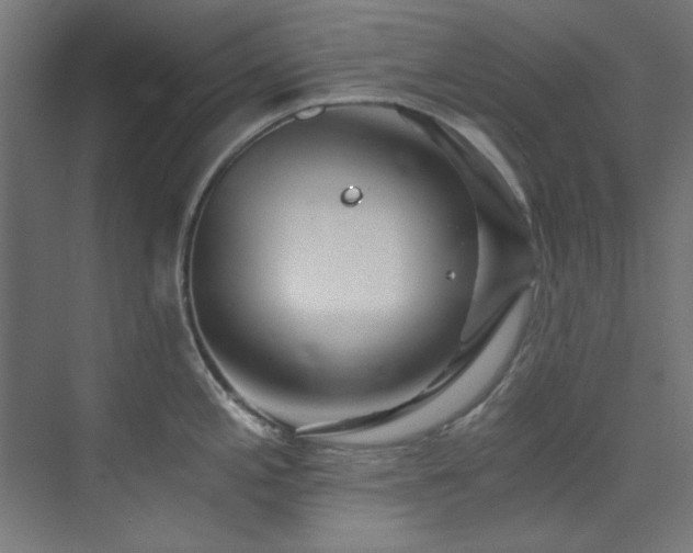 X0000074291197200608251336