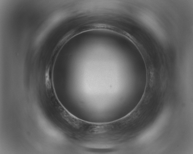 X0000074291198200608251336