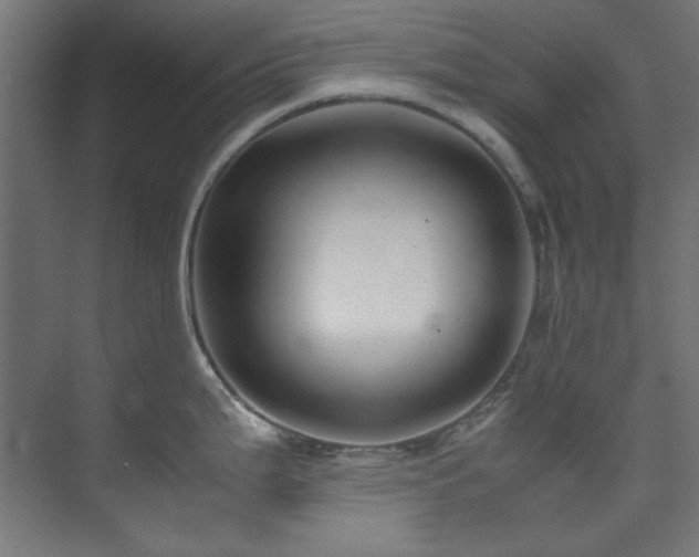 X0000074291199200608251336