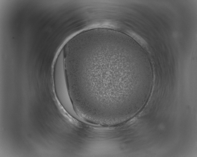 X0000074291200200608251336