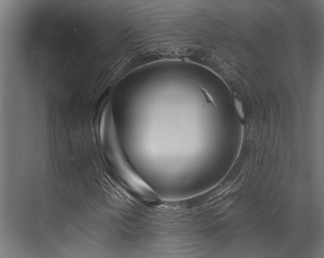 X0000074291202200608251335