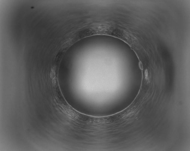 X0000074291203200608251335