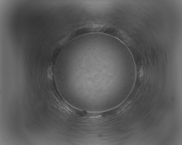 X0000074291204200608251335