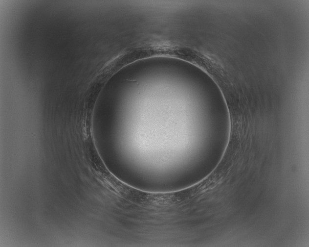 X0000074291205200608251335