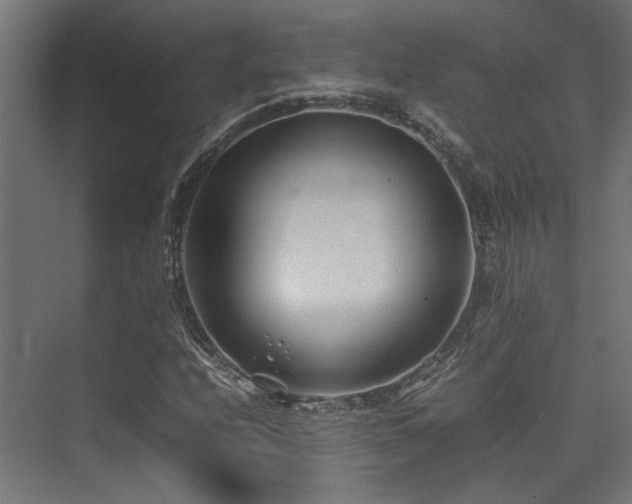 X0000074291208200608251335