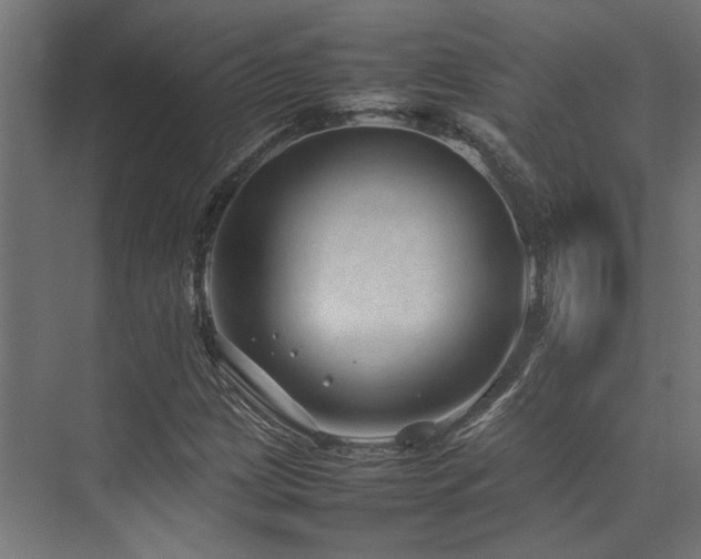 X0000074291209200608251335