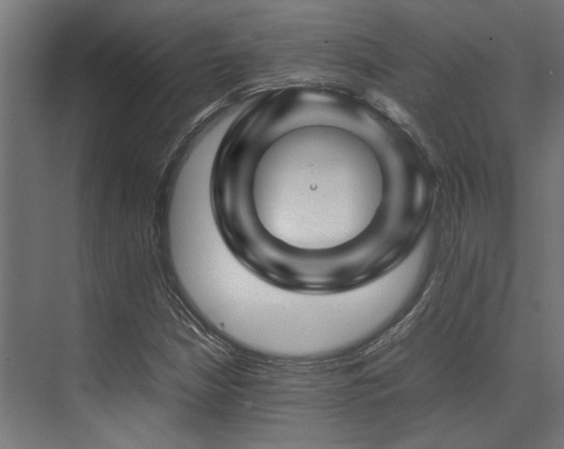 X0000074291210200608251335