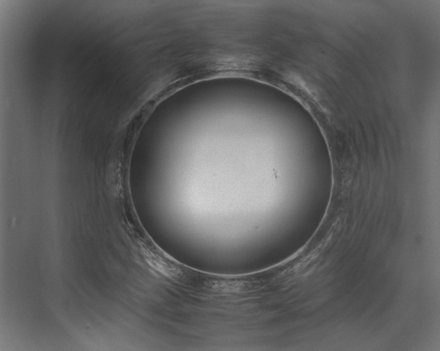 X0000074291211200608251335