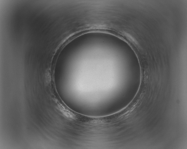 X0000074291212200608251335