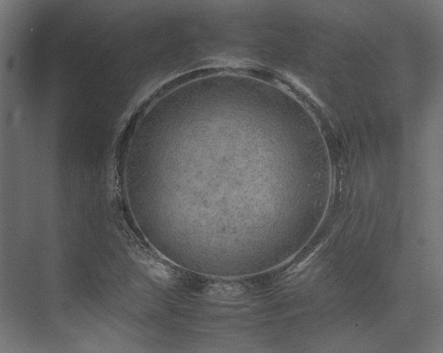 X0000074291215200608251335