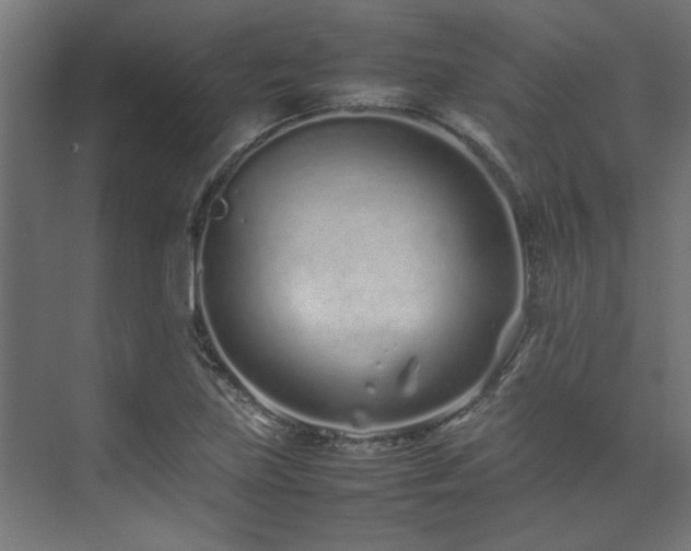 X0000074291219200608251336