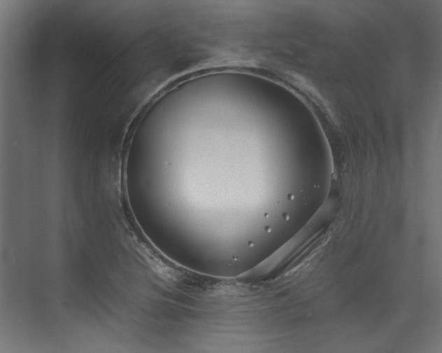 X0000074291220200608251336