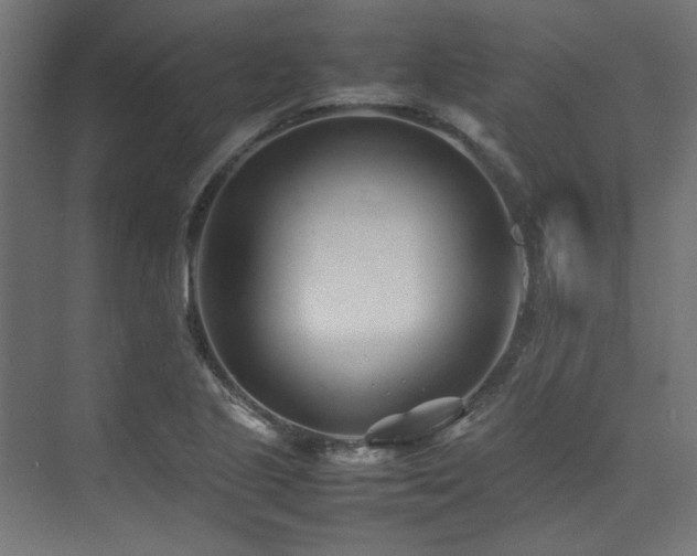 X0000074291221200608251336