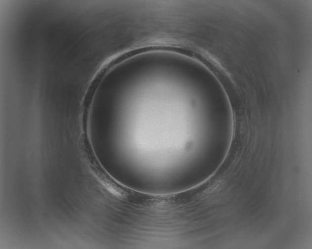 X0000074291222200608251336