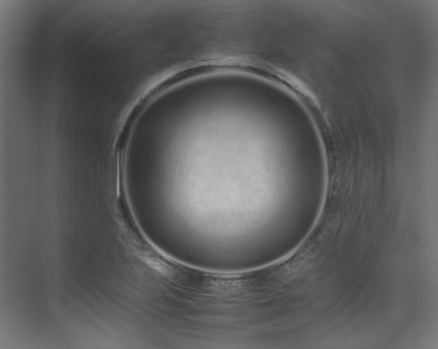 X0000074291223200608251336