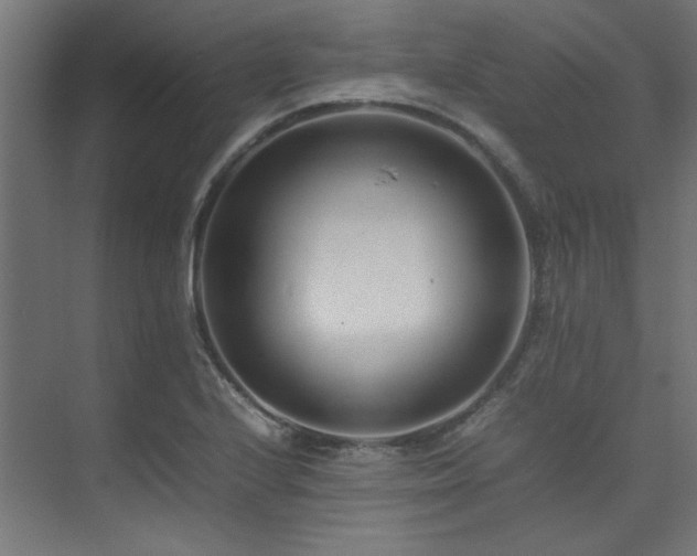 X0000074291224200608251336