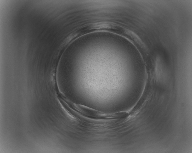 X0000074291225200608251336