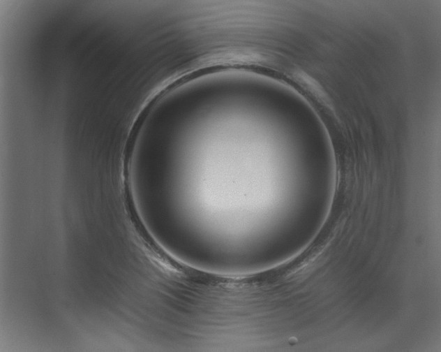 X0000074291226200608251336