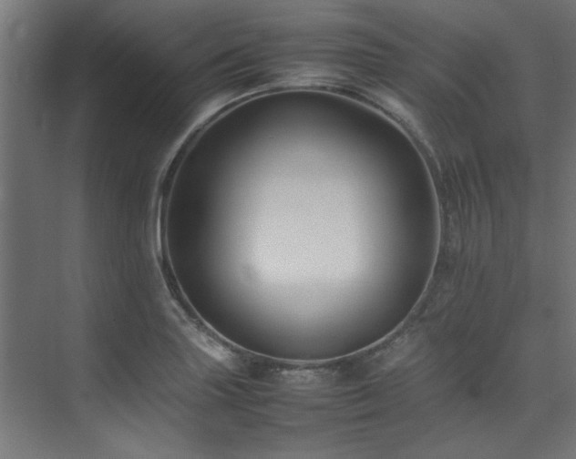 X0000074291227200608251336