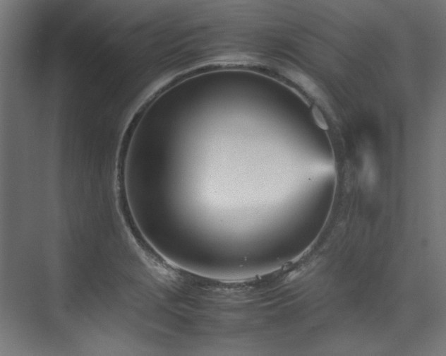 X0000074291229200608251336