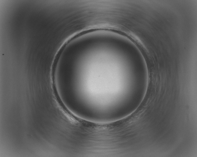 X0000074291230200608251336