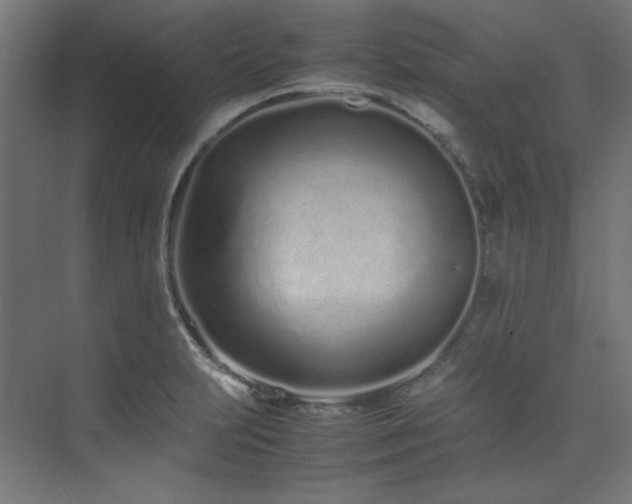 X0000074291231200608251336