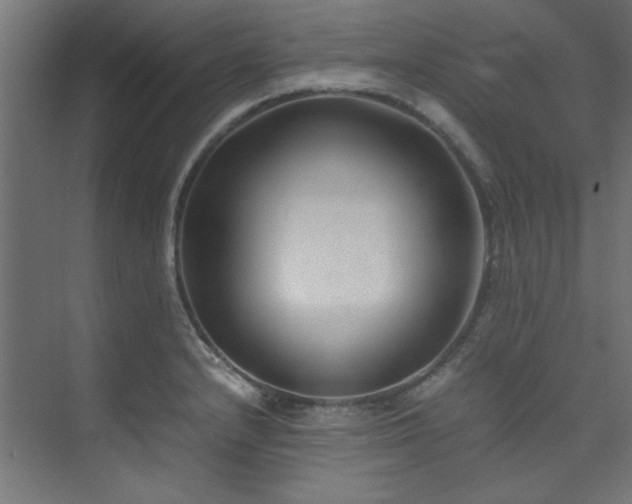 X0000074291232200608251336