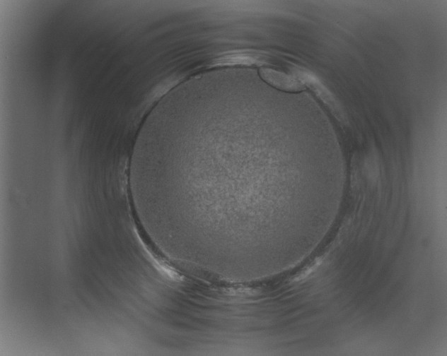 X0000074291233200608251336