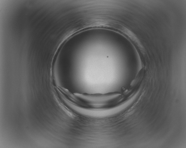 X0000074291234200608251336