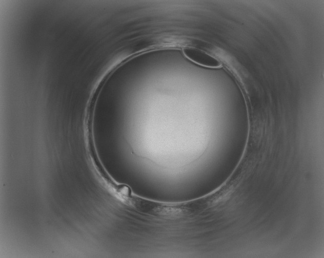 X0000074291235200608251336