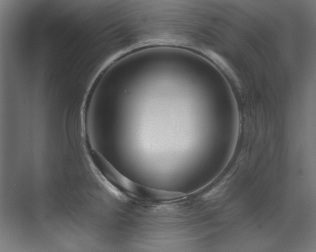 X0000074291238200608251336